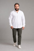 oxford cotton Regular Fit Pearl White Button-Down Collar